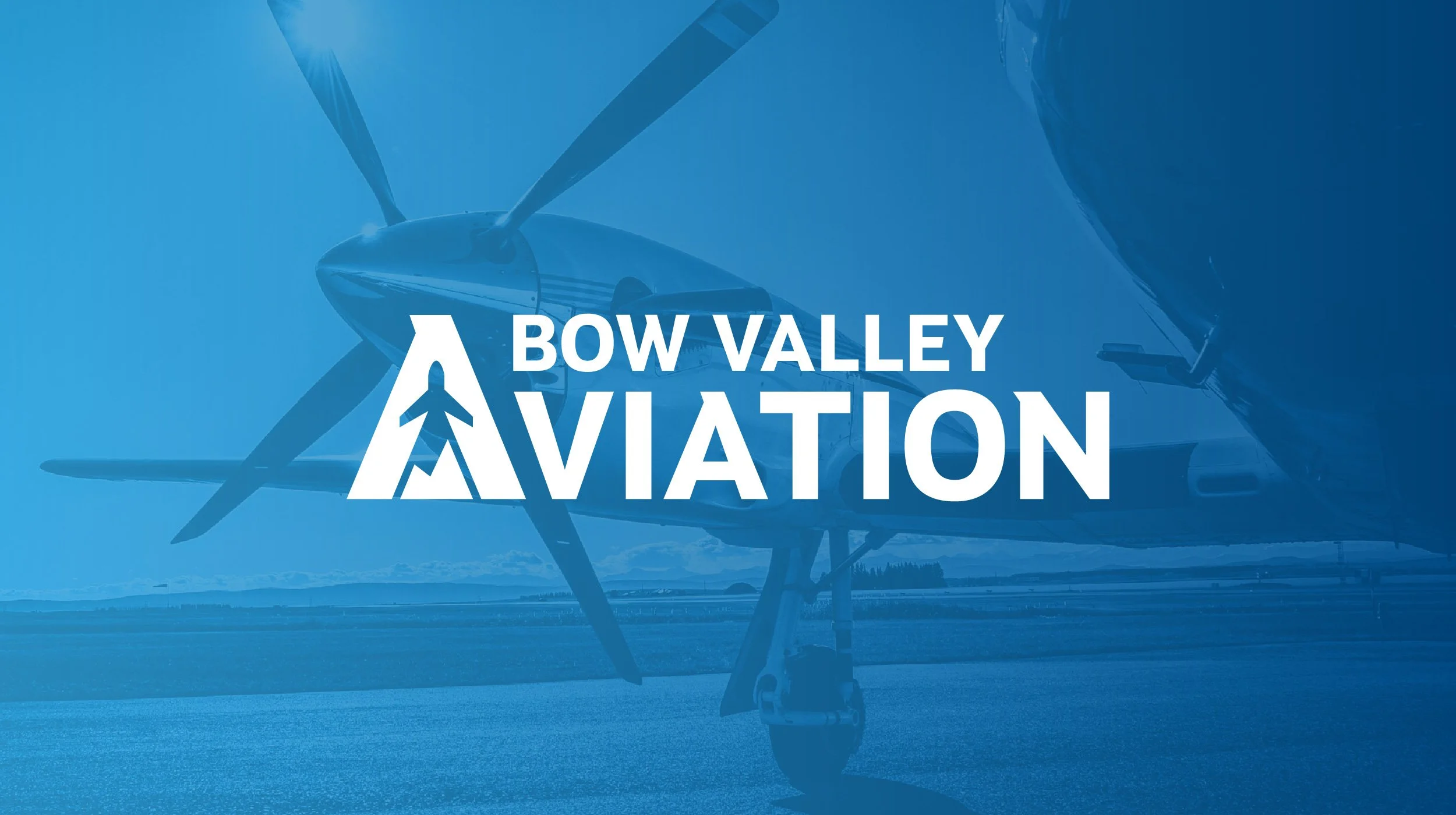 BVA-Brand-02.jpg