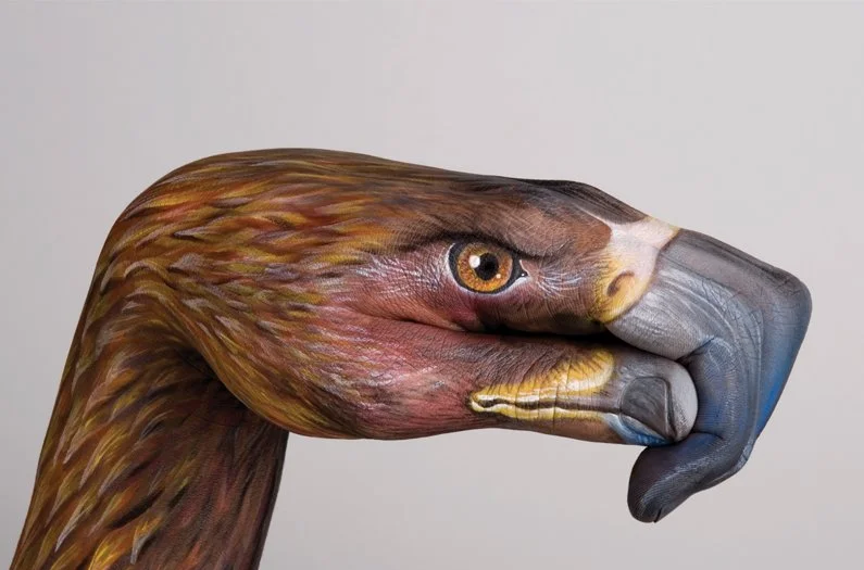 bird-hand.jpg