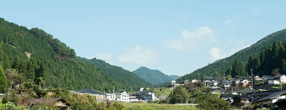 Feature_JapanForest_inline22.jpg