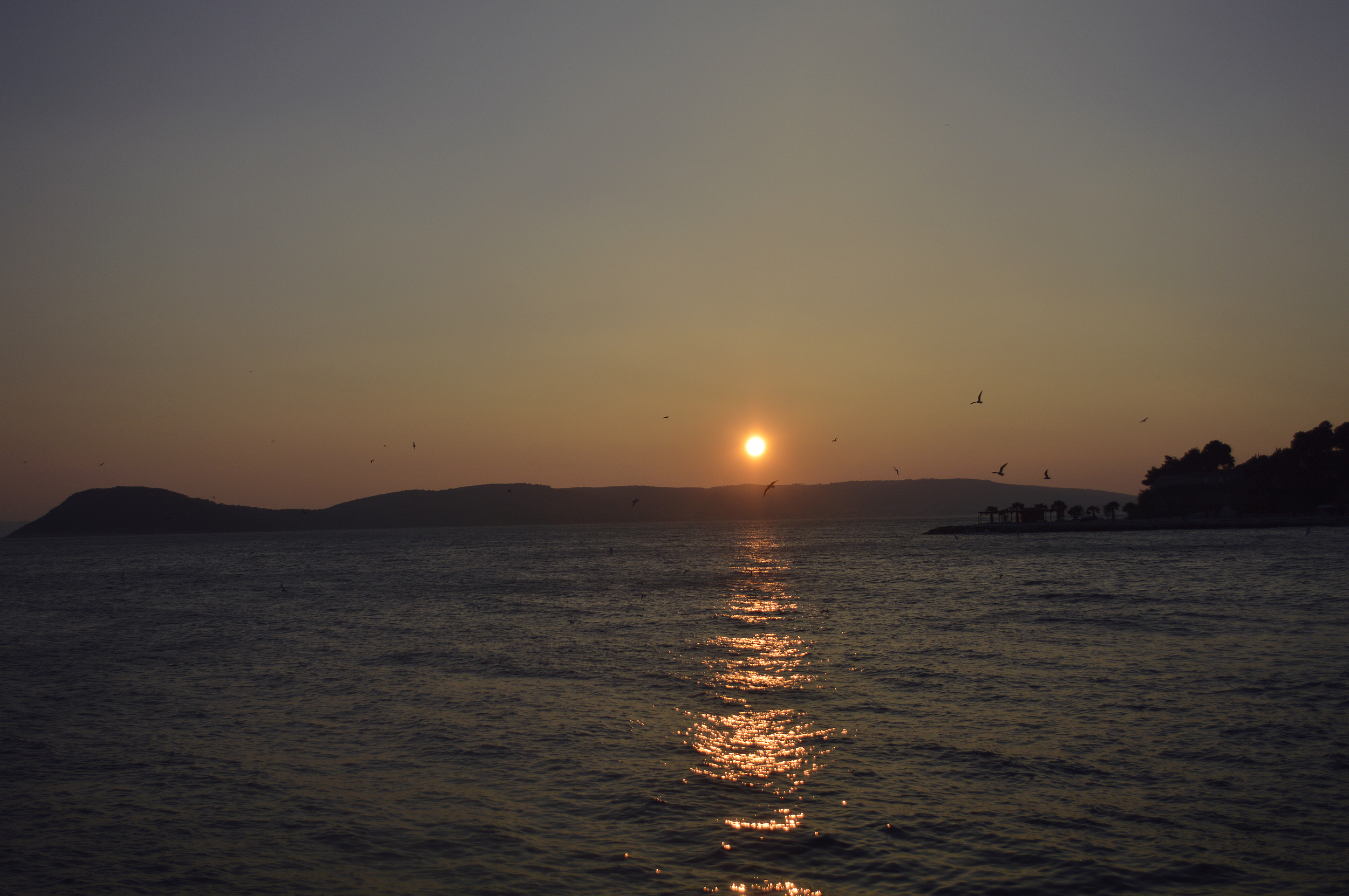 _DSC0793.jpg