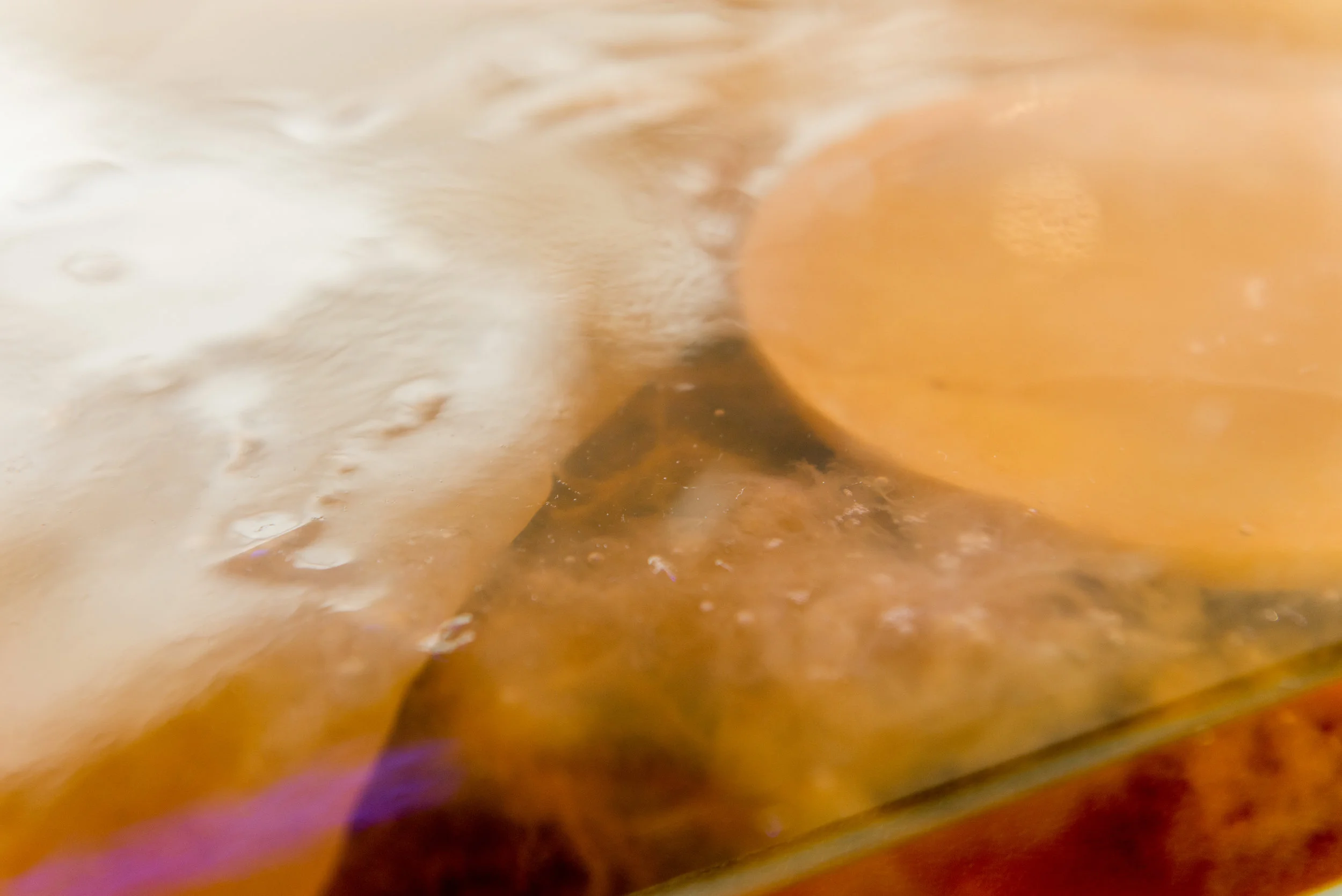    Weather’s always changing, for a limited time   (2017) water, dehumidifiers, aquarium, tea, Medusomyces gisevii, insect electrocutors, automatic scent dispenser, artificial plant, looped sound collages (11 min 43 sec &amp;&nbsp;4 min 19 sec), spea