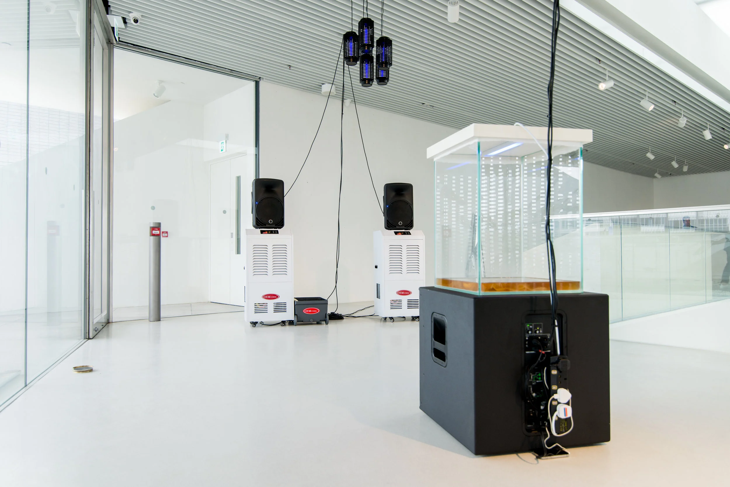  Installation View (Level Two) 