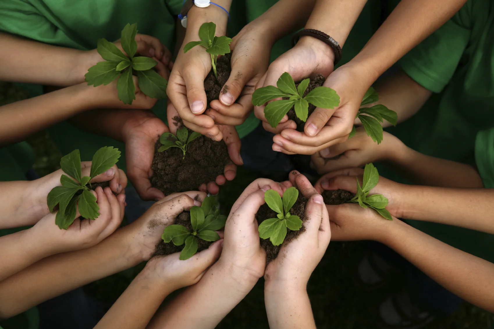 iStock_000006715814Medium.jpg
