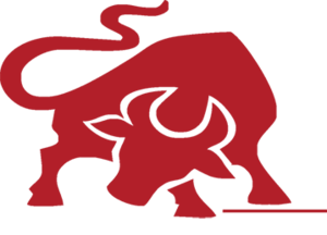 Ibaera_100ppi+RGB_bull+only.png