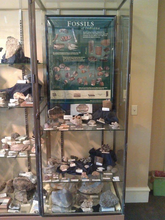 Natural history