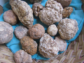 GEODES FOUND IN LAWRENCE COUNTY