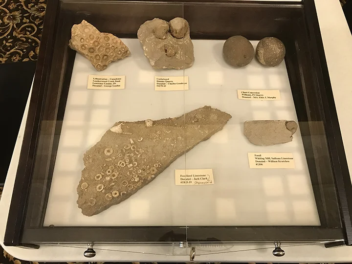 Samples of fossils found in limestone.