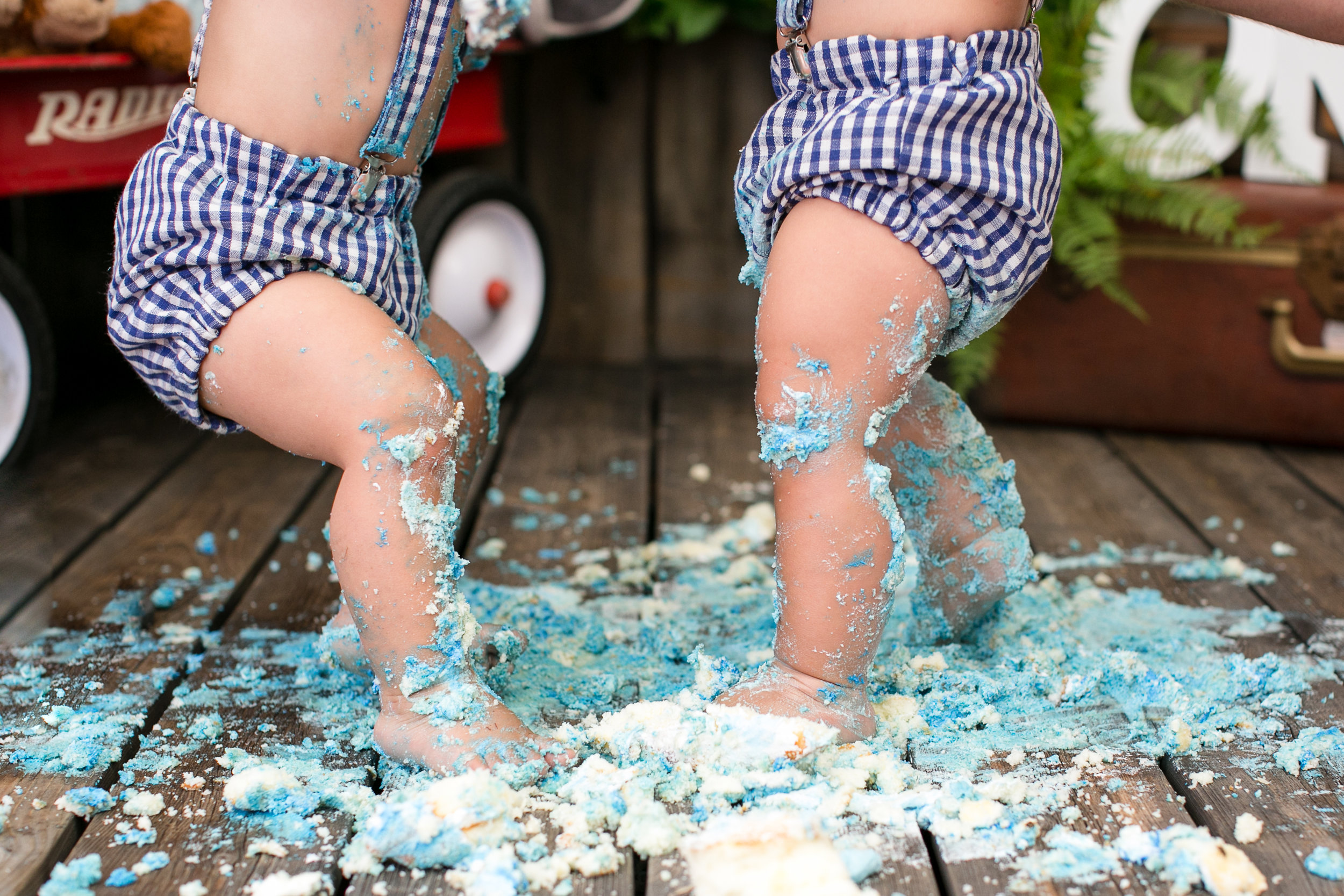 Twins Cake Smash- Marys Favorites (45).JPG
