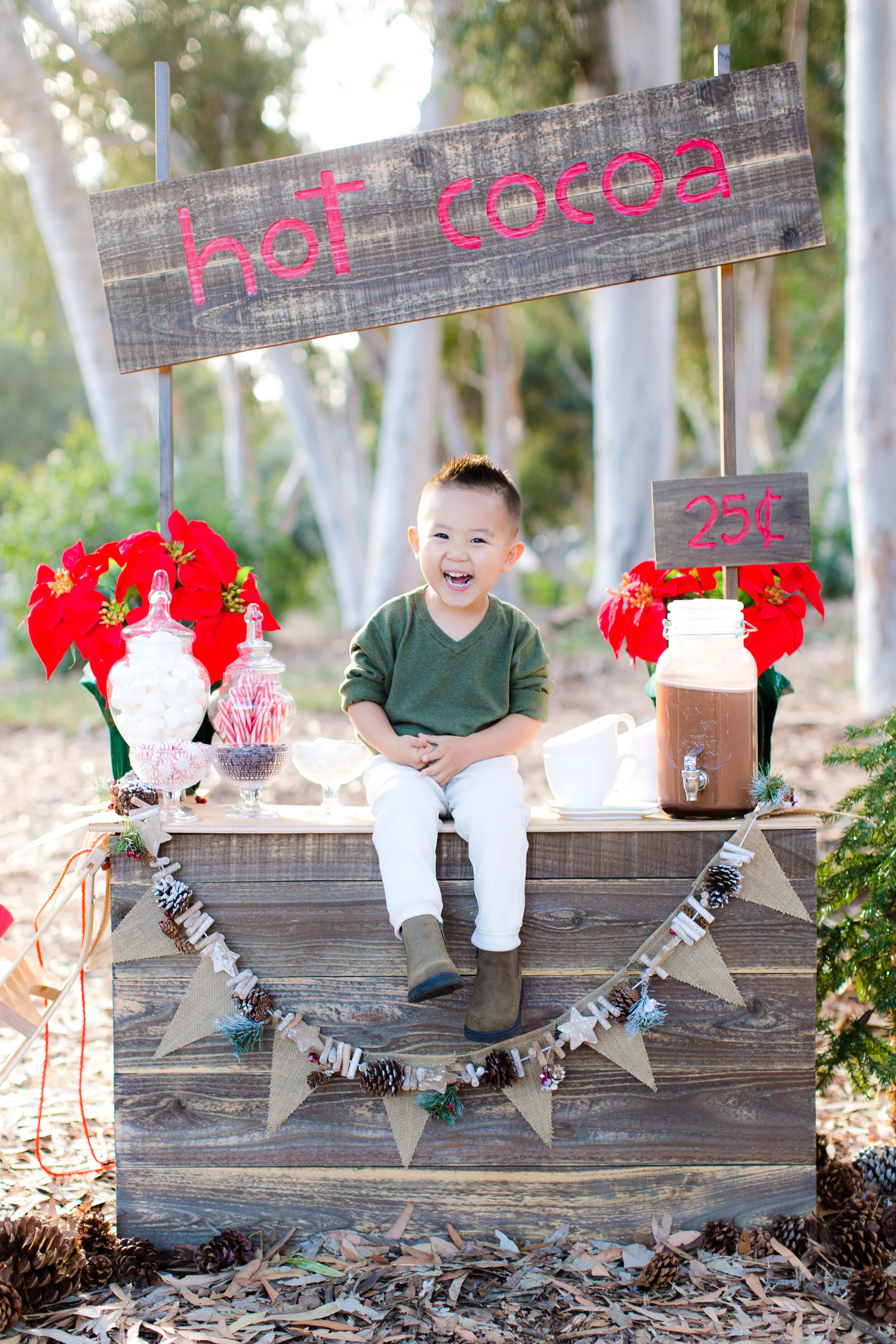 Cherish Leung_2020 Holiday Mini Session_Mary Awshee Photography (2).jpg