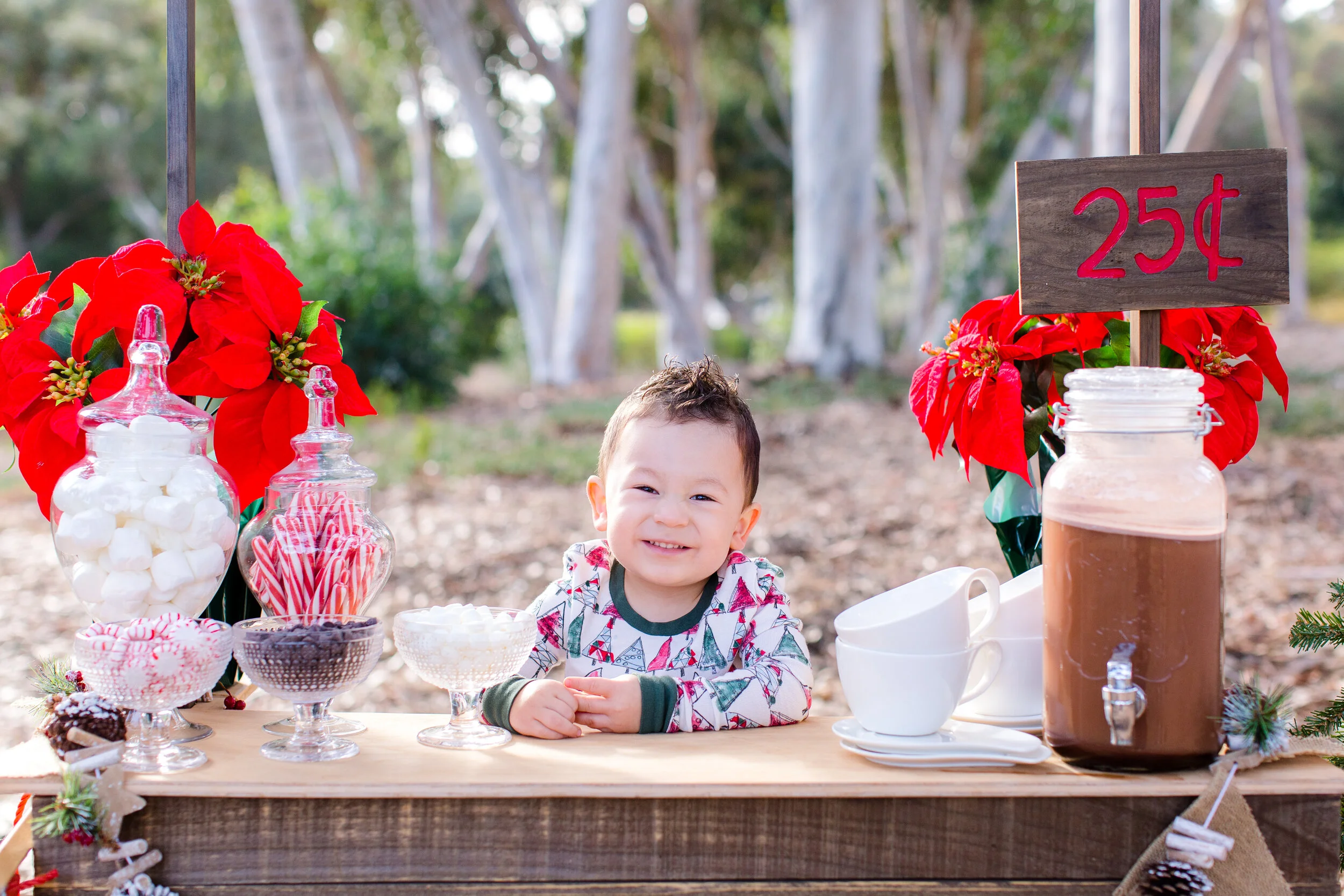 Graciela Platat_2020 Holiday Mini Session_Mary Awshee Photography (3).jpg