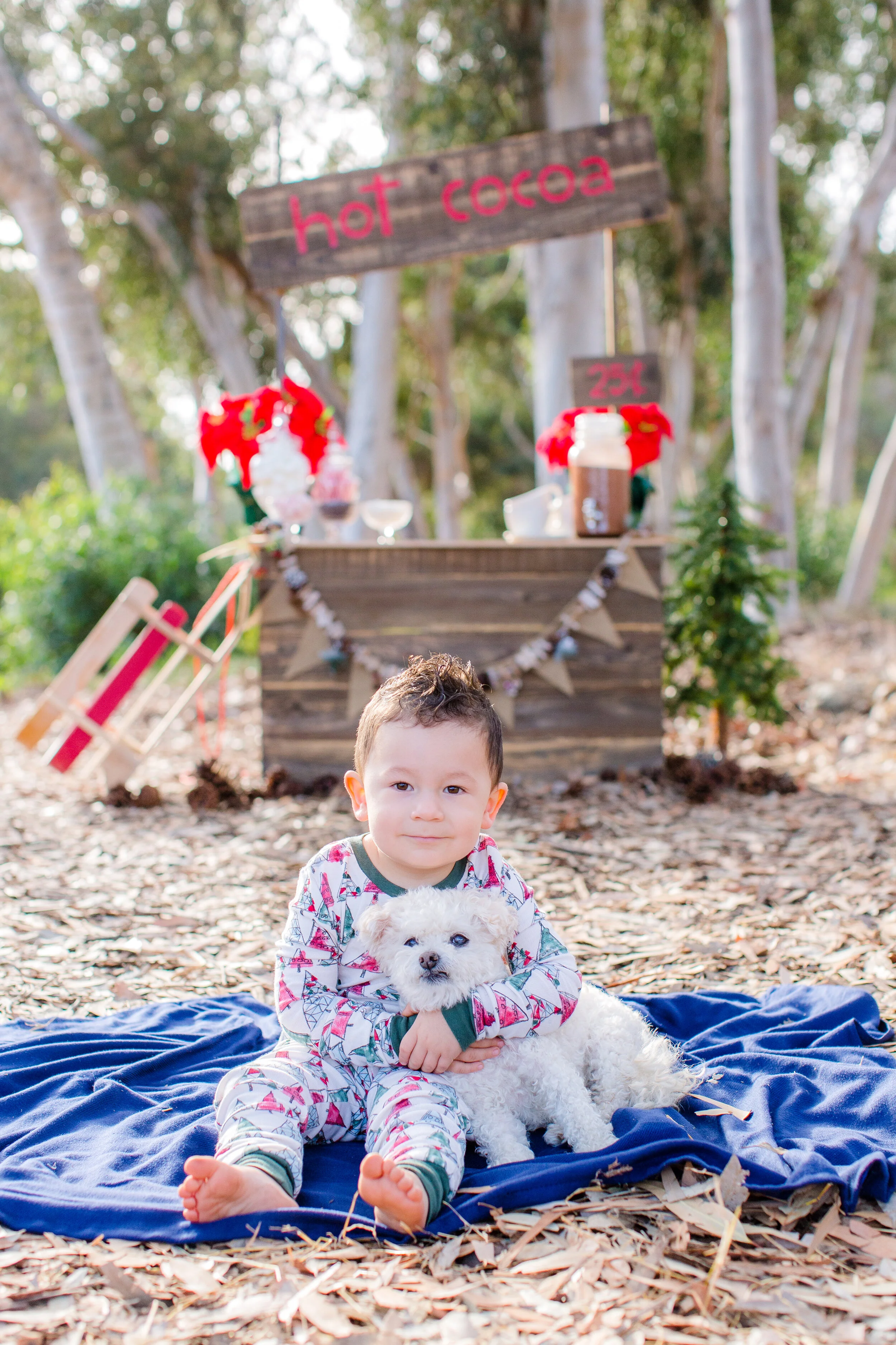 Graciela Platat_2020 Holiday Mini Session_Mary Awshee Photography (9).jpg