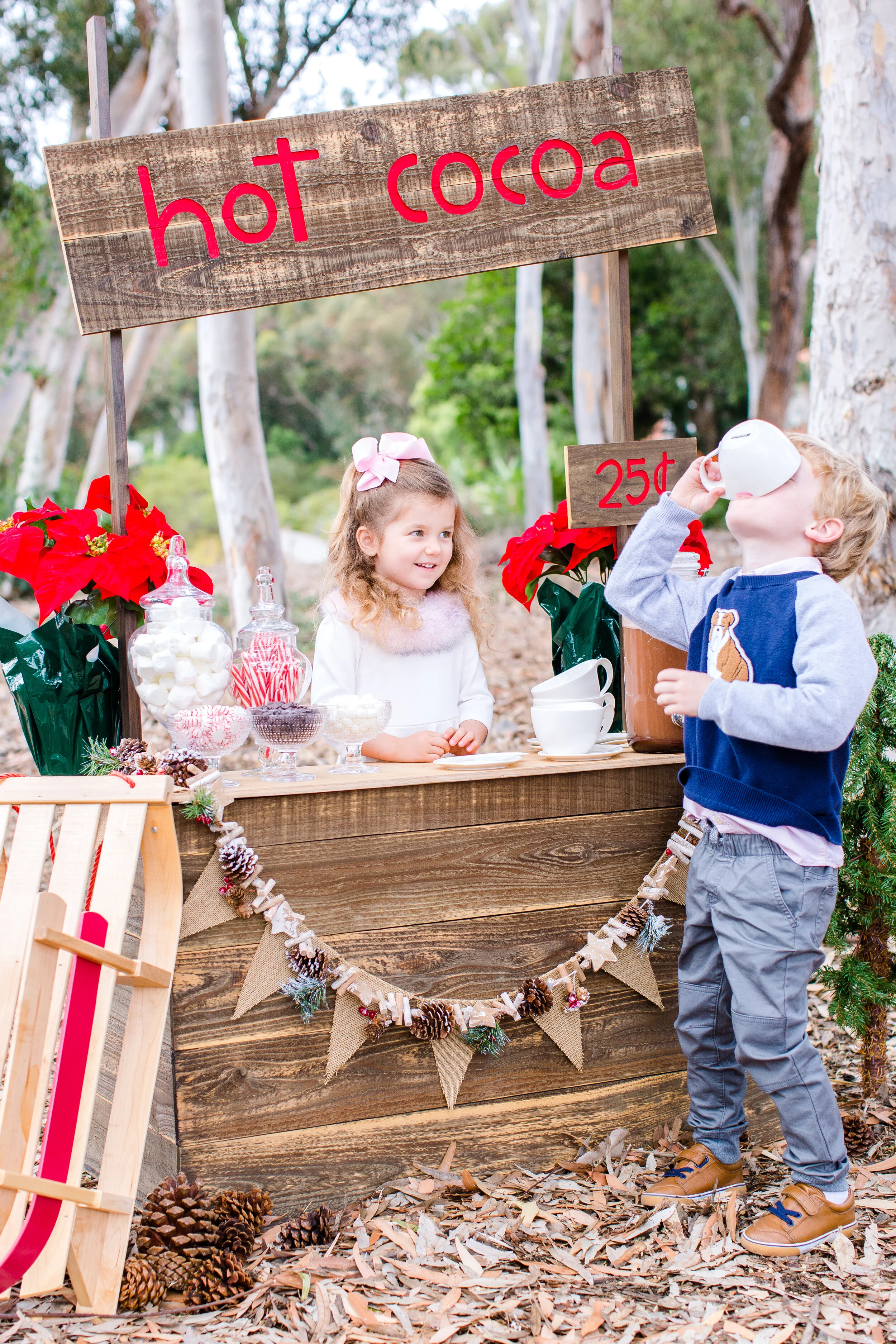 Kristen Travers_2020 Holiday Mini Session_Mary Awshee Photography (12).jpg
