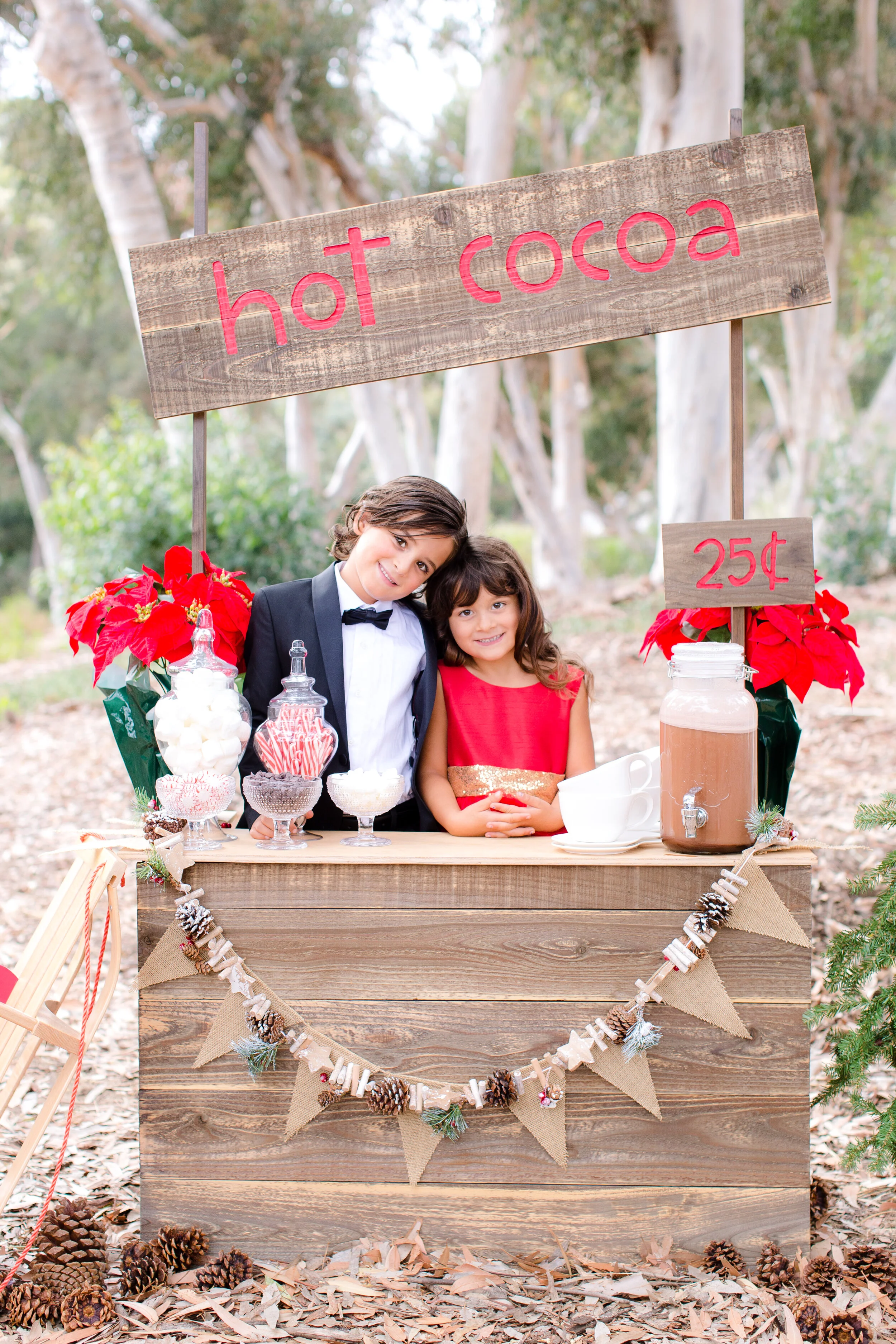 Catherine Howse_2020 Holiday Mini Session_Mary Awshee Photography (3).jpg