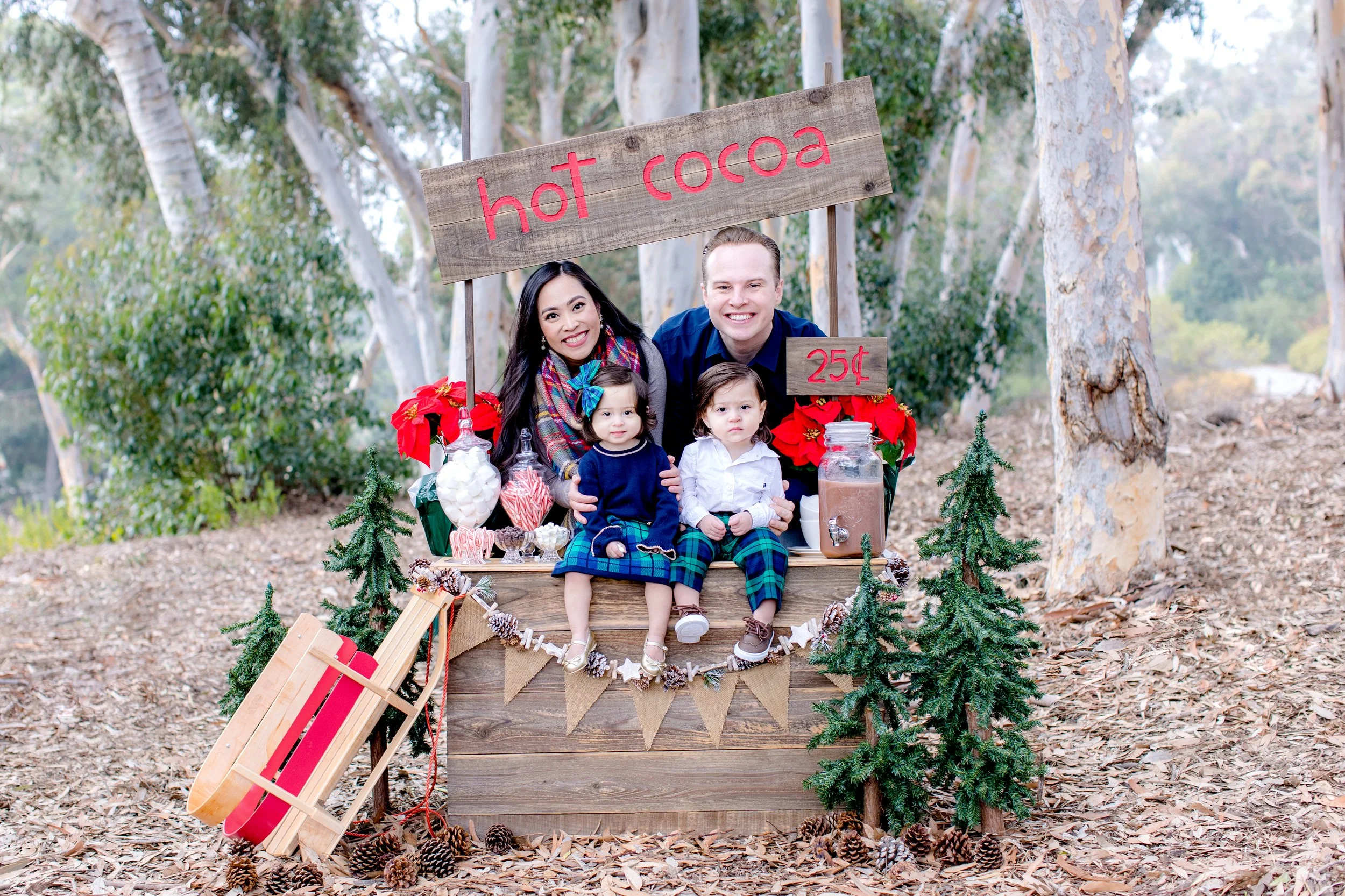 Chrsitmas Cards_Mary Awshee Photography (4).jpg