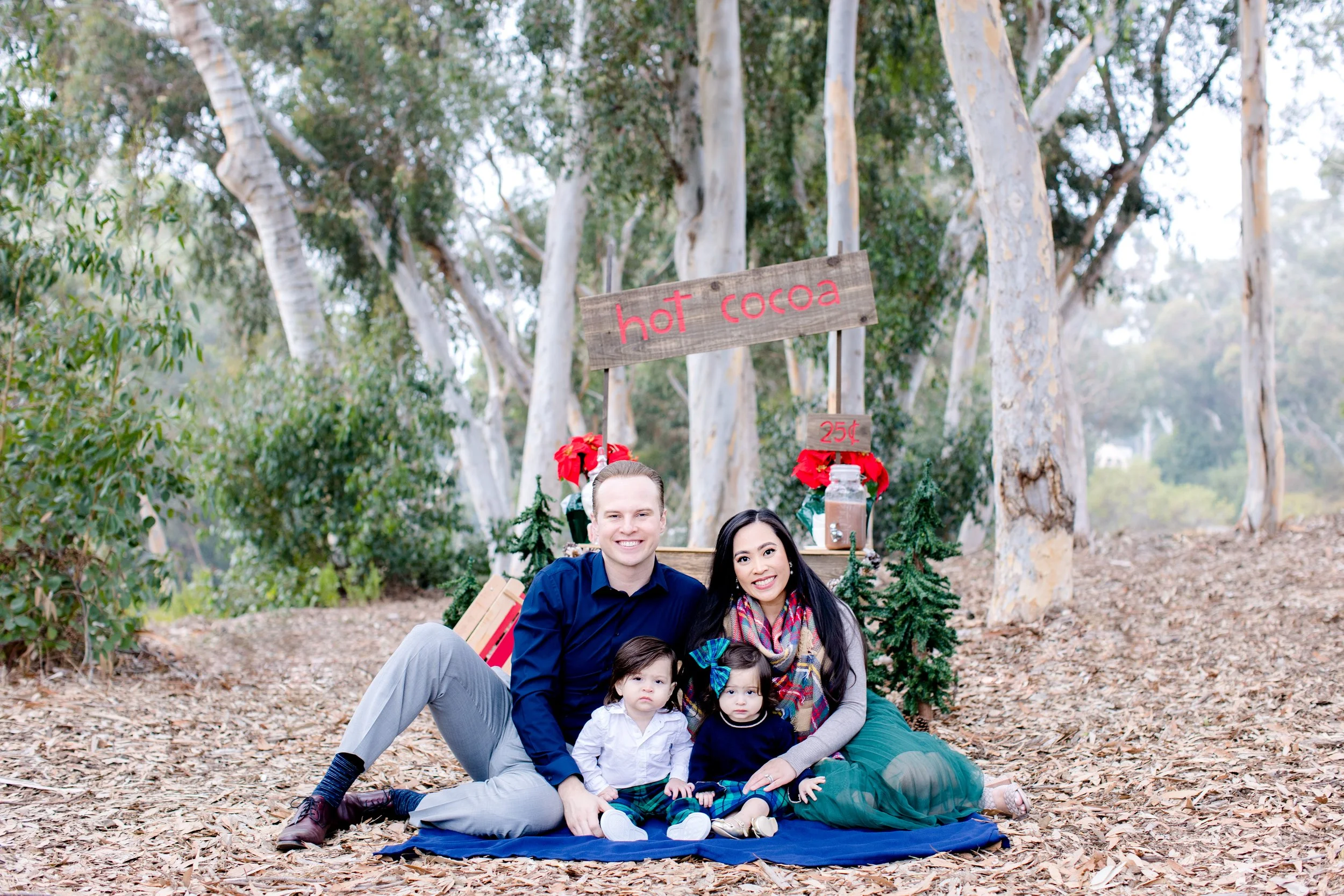 Chrsitmas Cards_Mary Awshee Photography (6).jpg