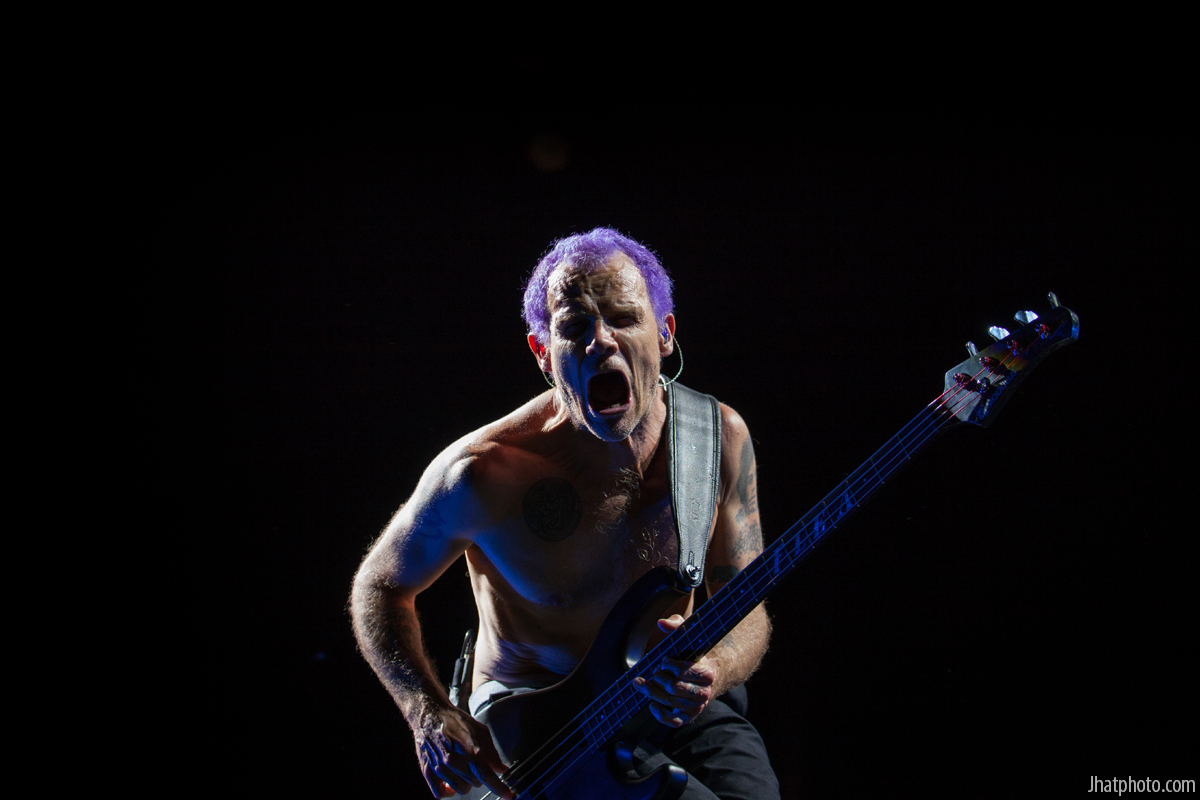 Flea - Red Hot Chilli Peppers