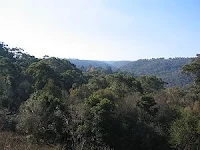 Hornsby Heights - view from Rofe Park