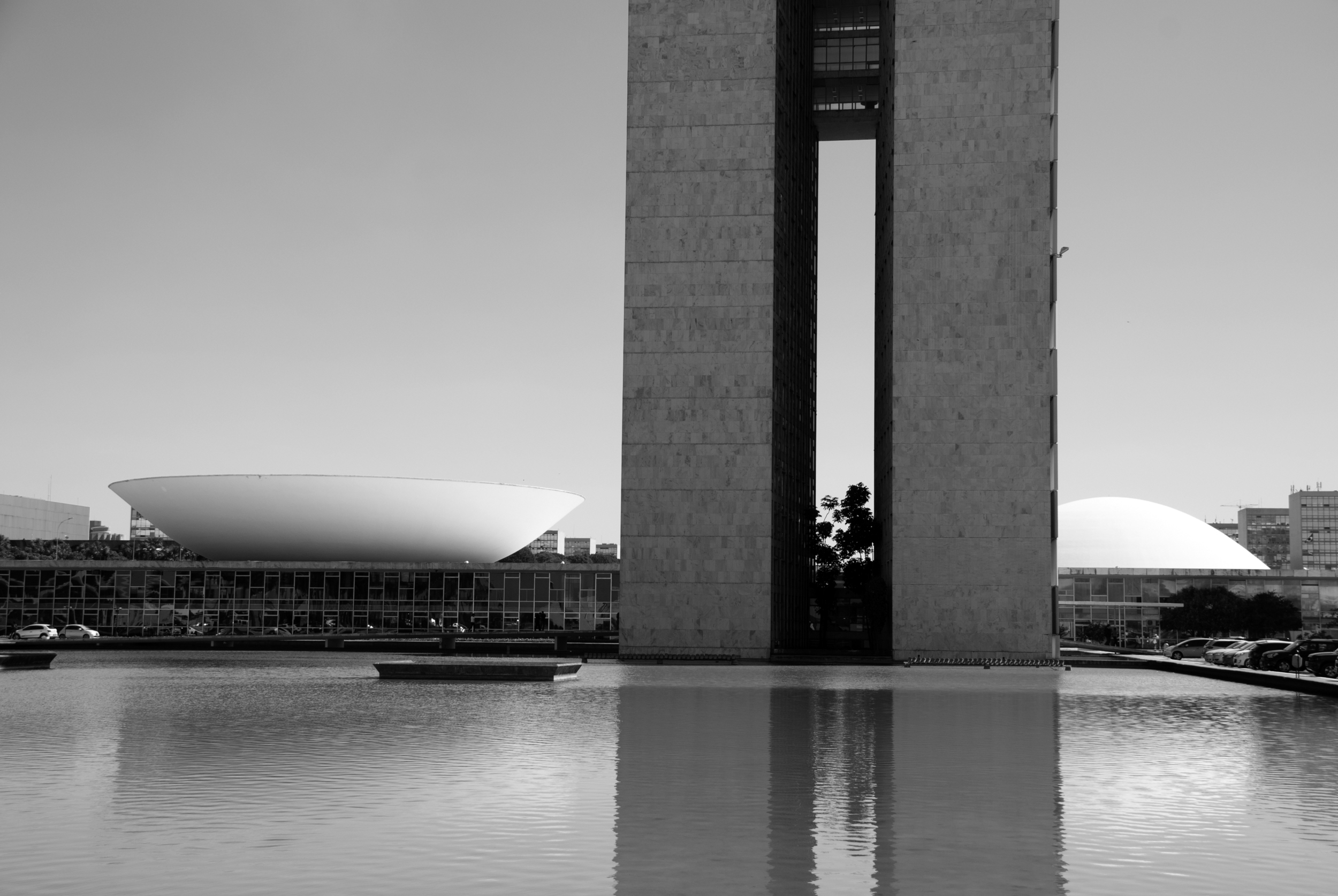 DSC_0137.jpg