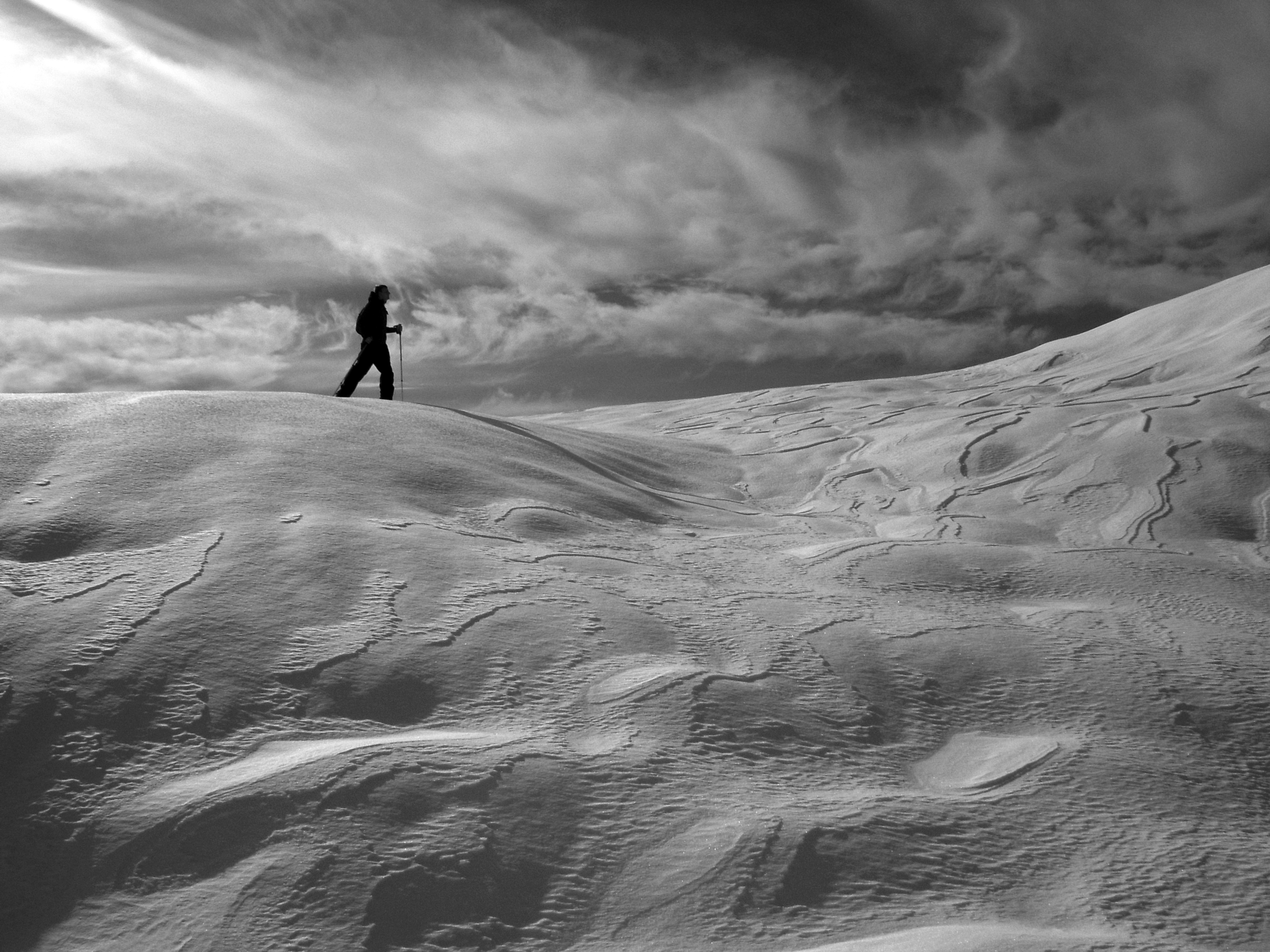 DSCN7742_bw.jpg