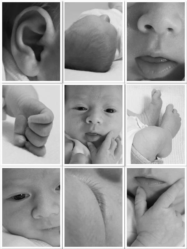 Baby Collage.jpg