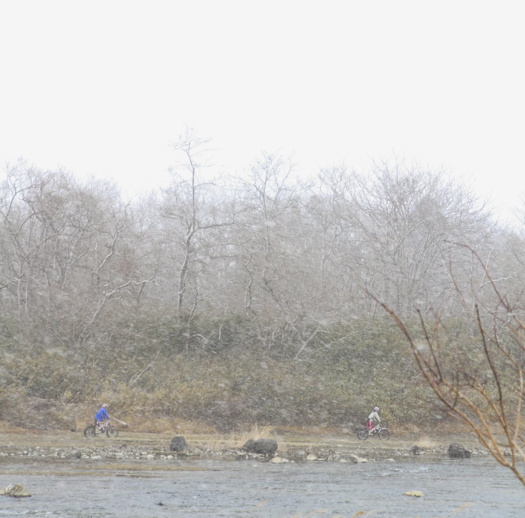 _MG_0024.jpg