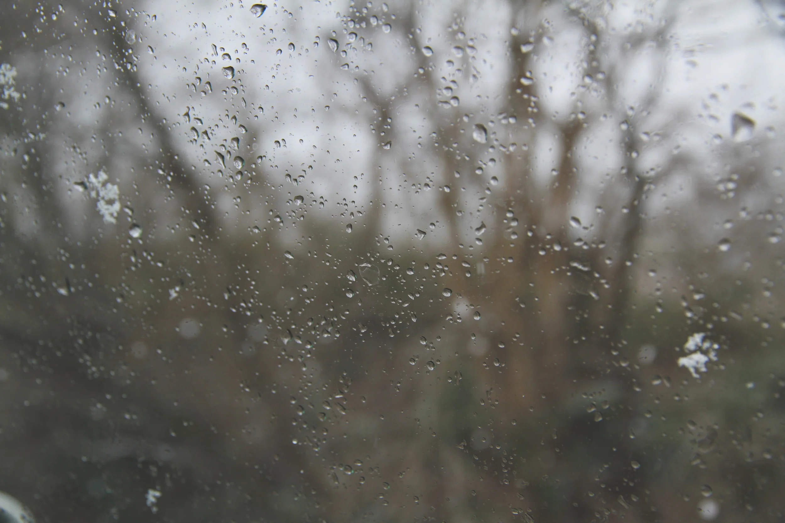 _MG_0044.jpg