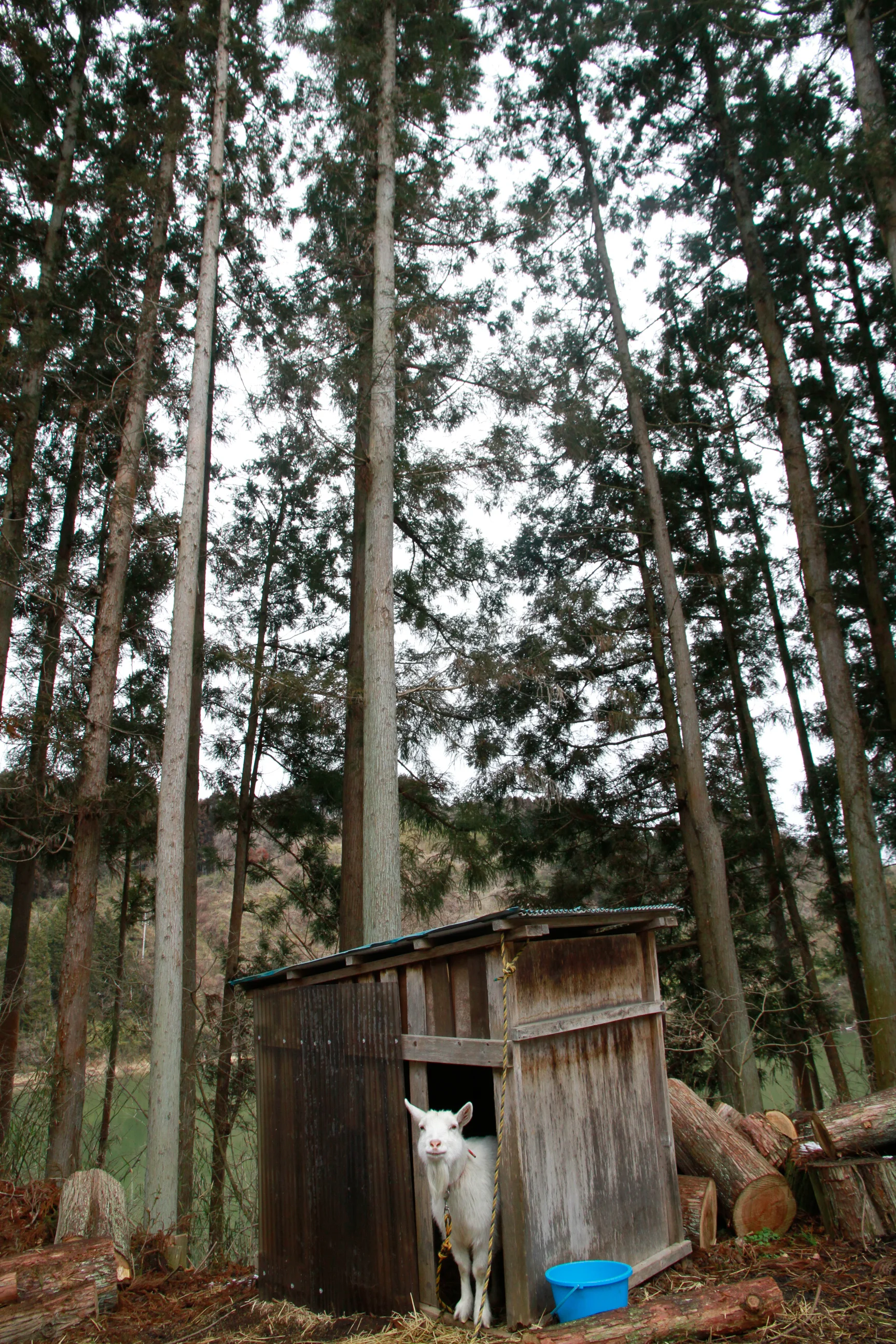 _MG_9980.jpg