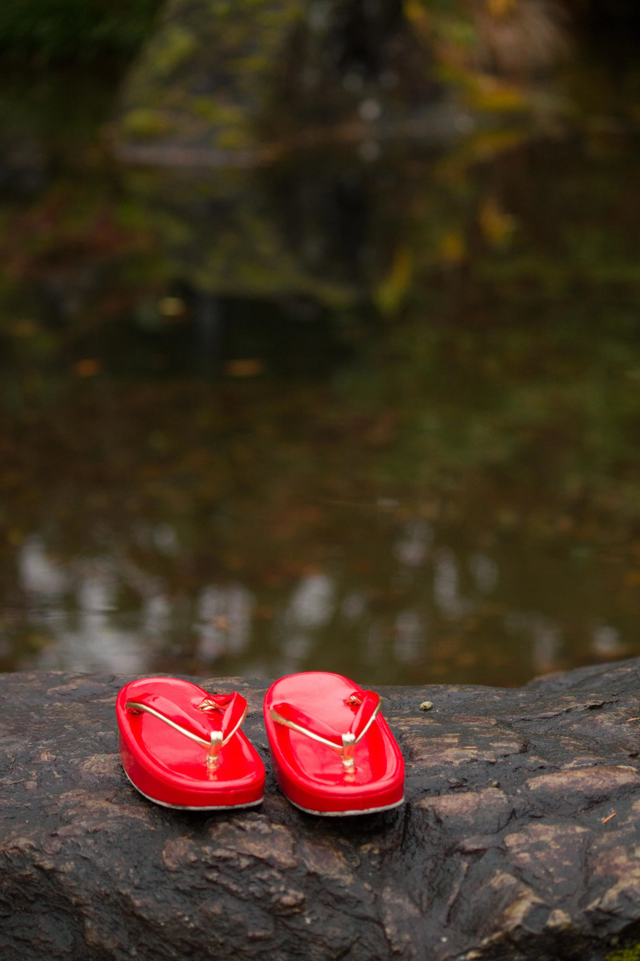 _MG_4811.jpg