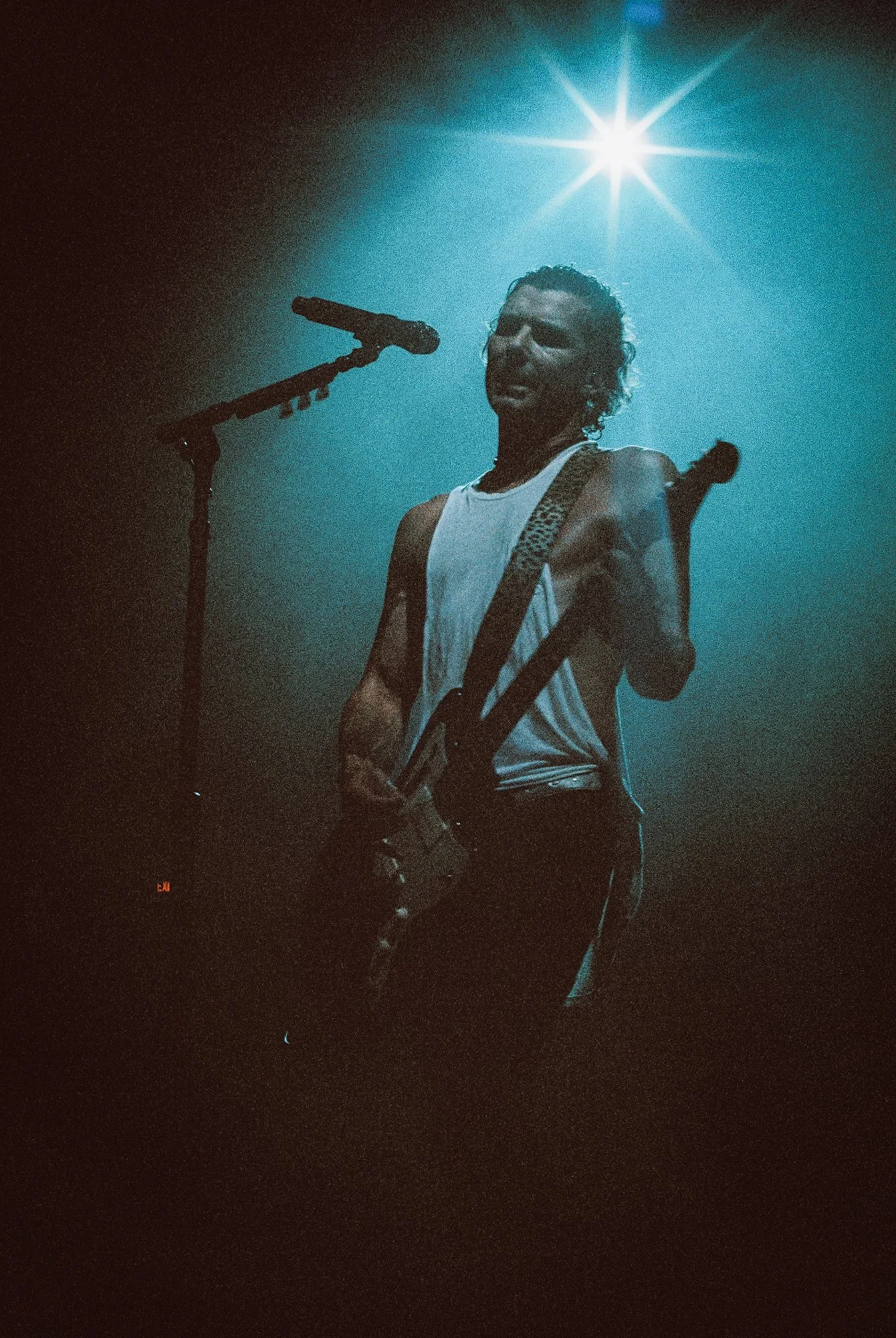 BUSH FILM-6.jpg