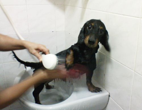 Enjoying a scrub