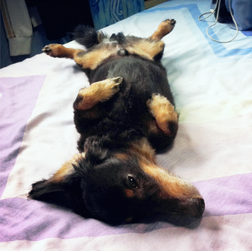 Sleepyhead