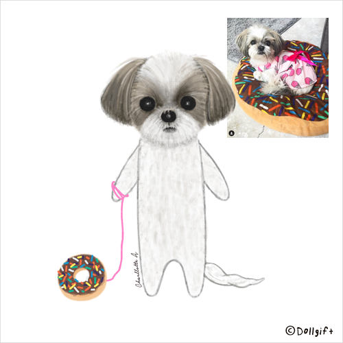 petportrait18-dollgift.png