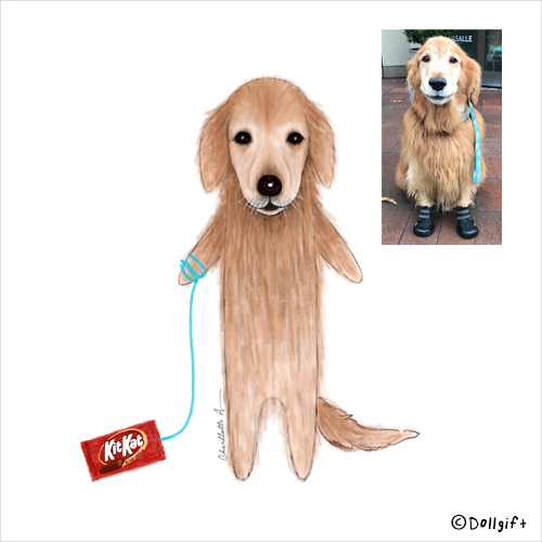 petportrait20-dollgift.png