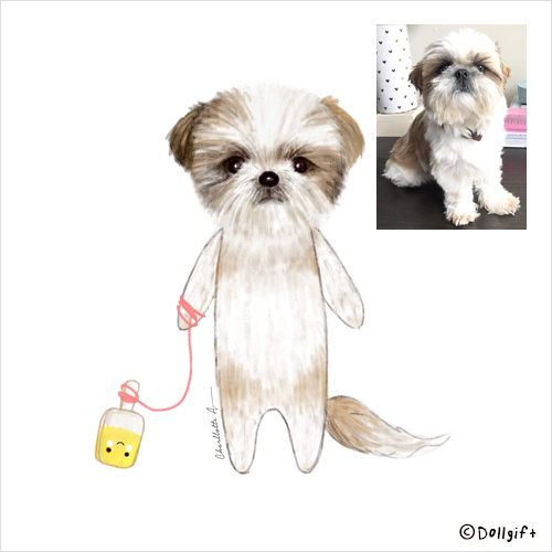 petportrait19-dollgift.png