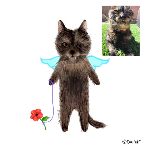 petportrait15-dollgift.png