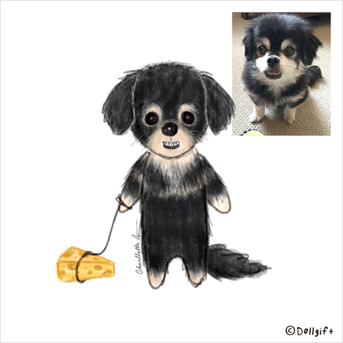 petportrait13-dollgift.png