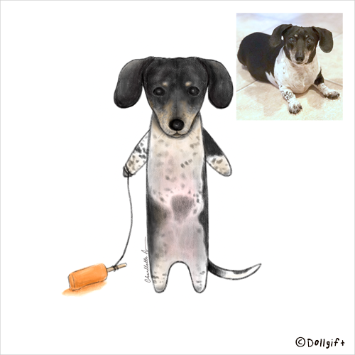 petportrait6-dollgift.png