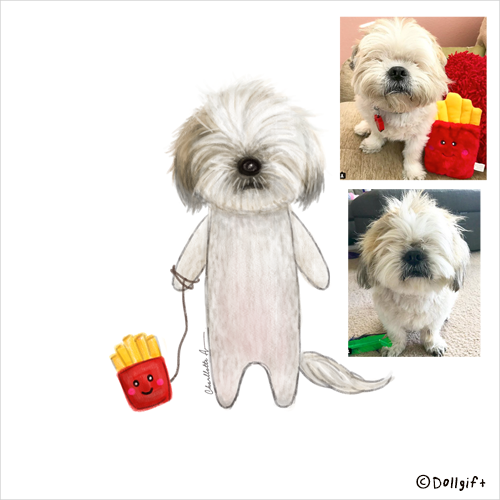 petportrait10-dollgift.png