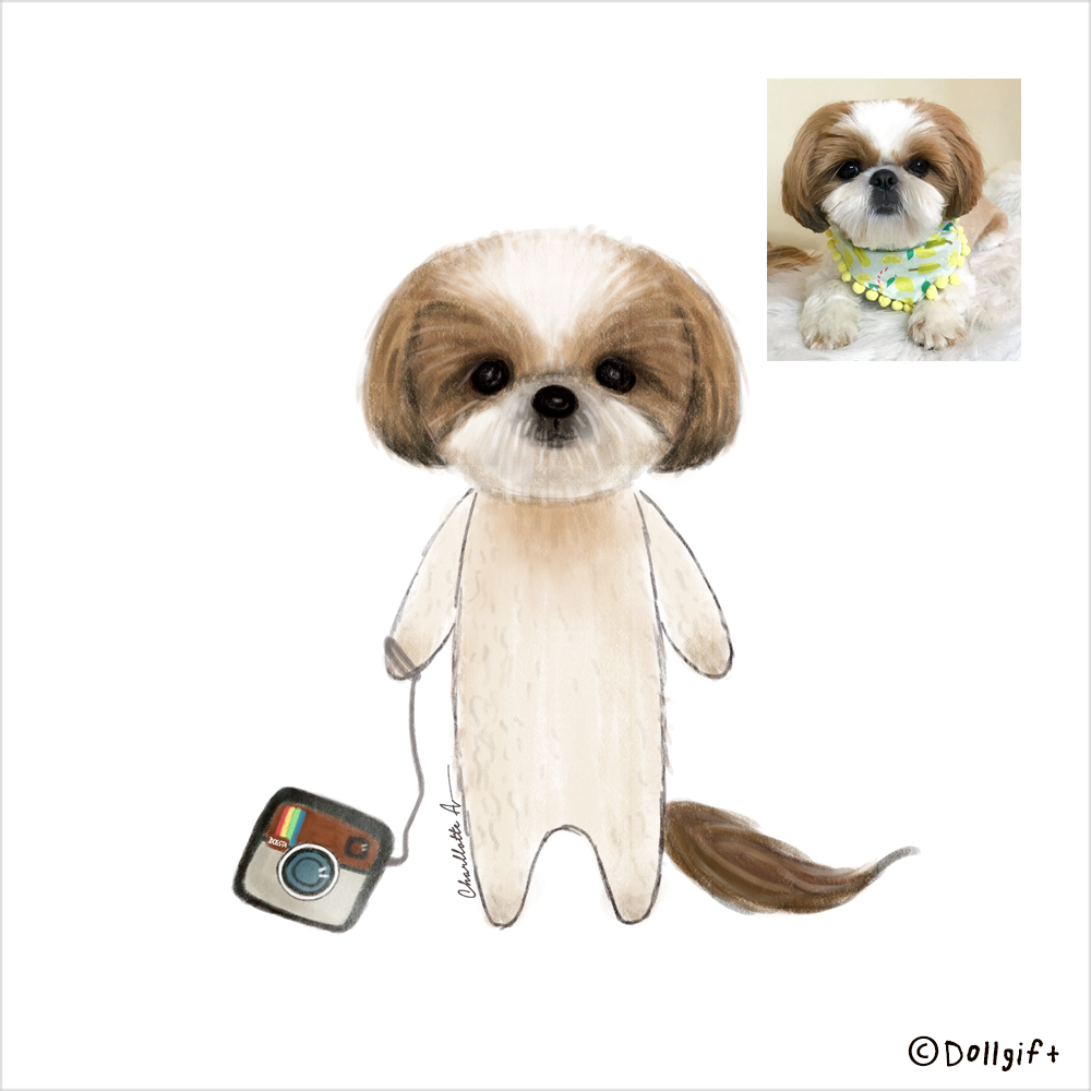 petportrait5-dollgift.png