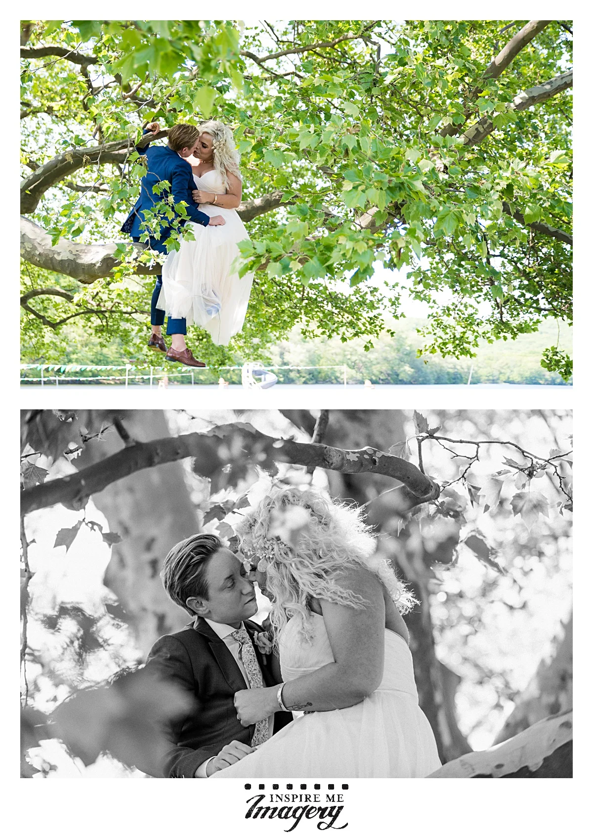 A brief moment of intimacy and quiet in a tree is a good way to remember the magnitude of the day.