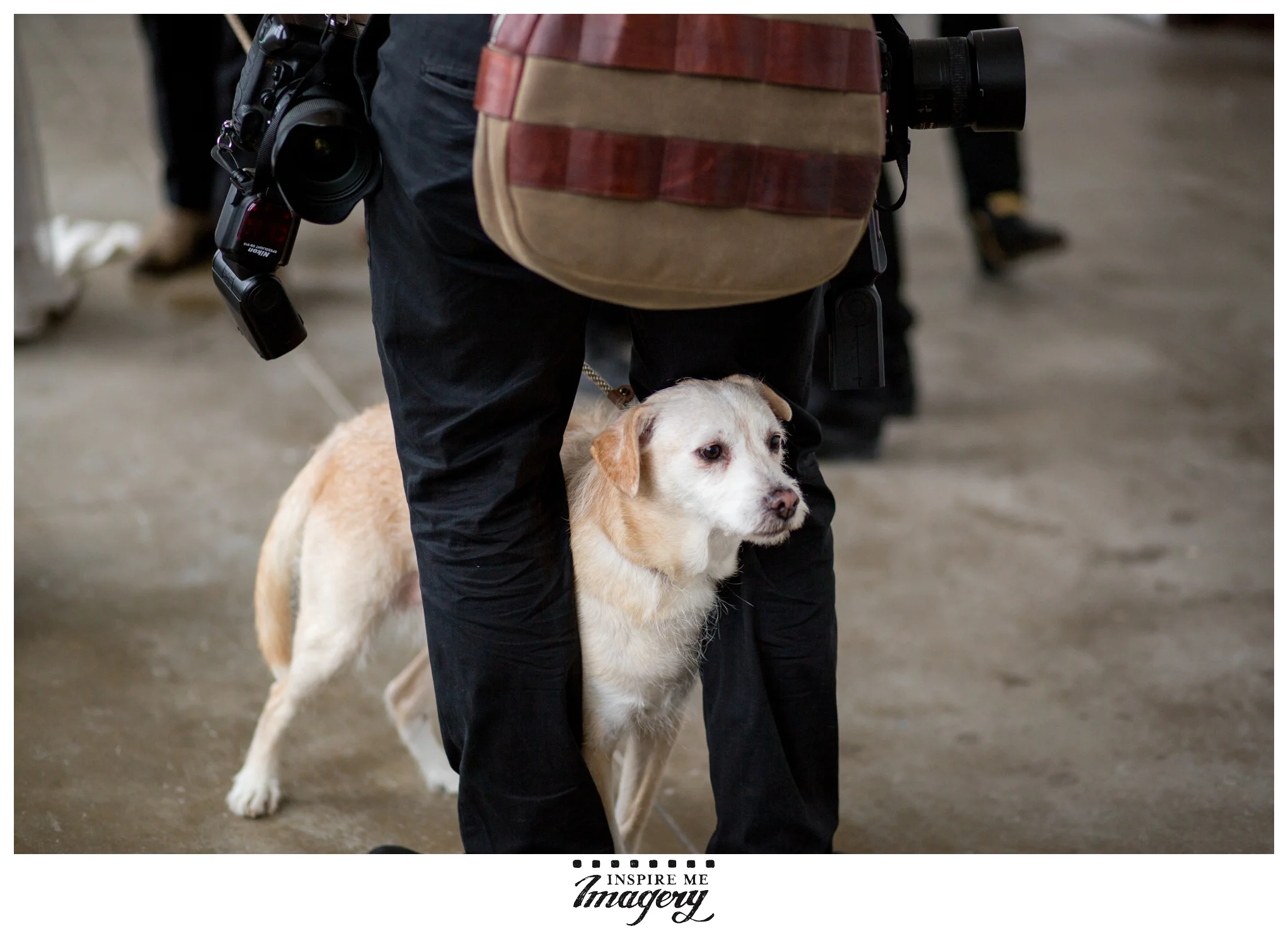 Inspire Me Imagery is pet-friendly. :-)
