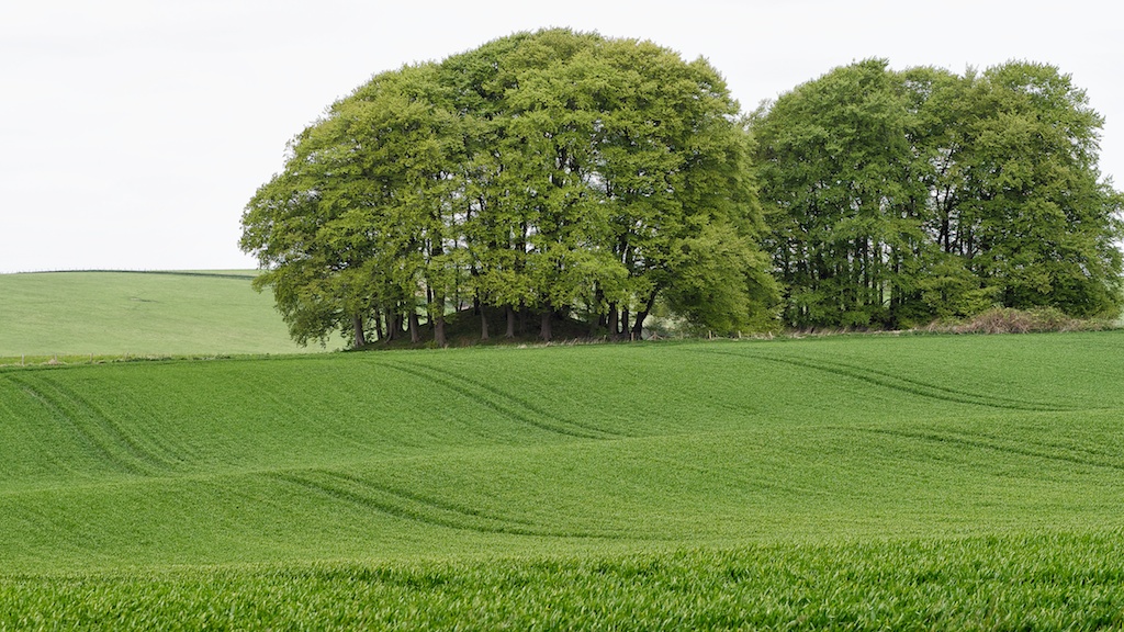 No wind power for Wiltshire if controversial policy is allowed to stand