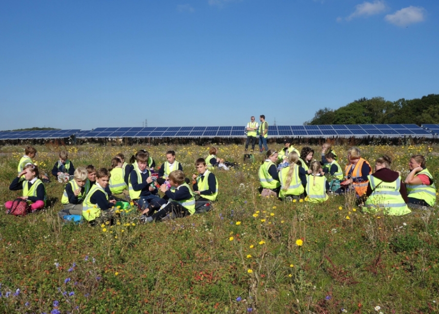 Schoolchildren enjoying a picnic at Pashley solar farm.