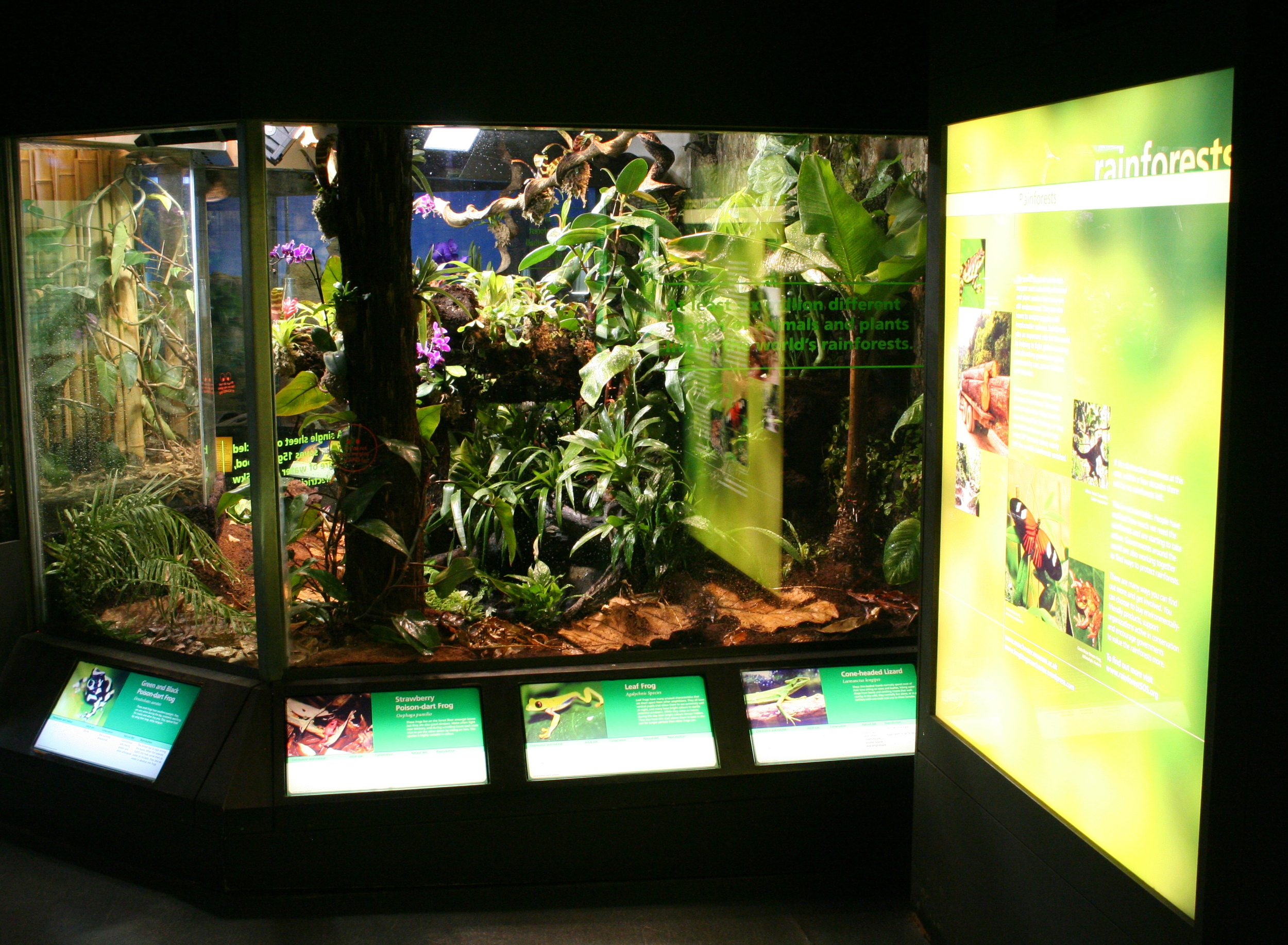 The Vivarium at Manchester Museum