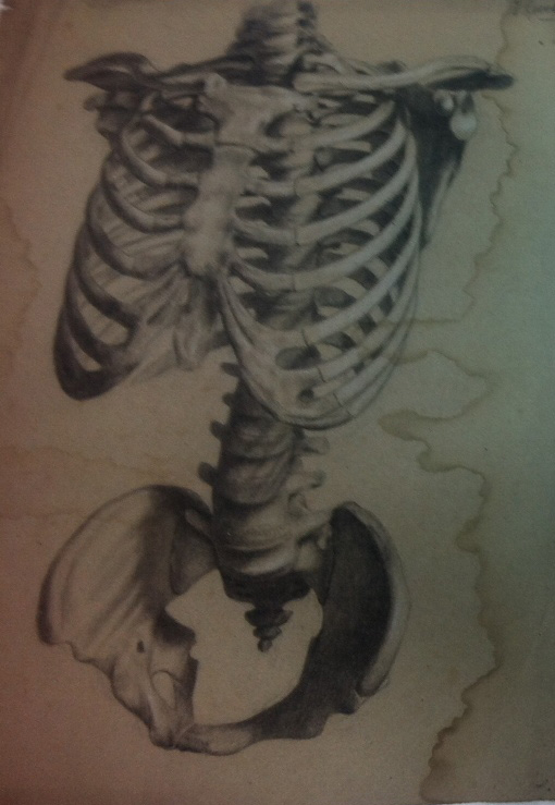 torso 1.jpg
