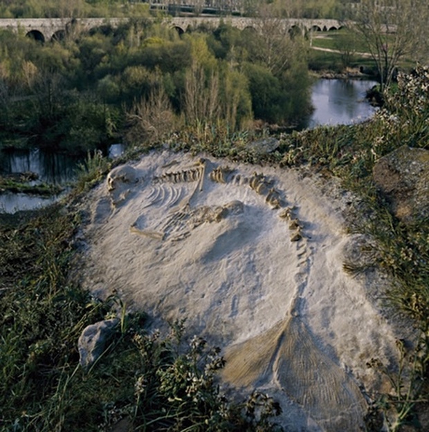 Joan Fontcuberta, photograph of Hydropithecus fossils, part of the Sirens project, 2000