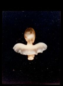 Still from Jean Painlevé's Acera or the Witches' Dance (1978)