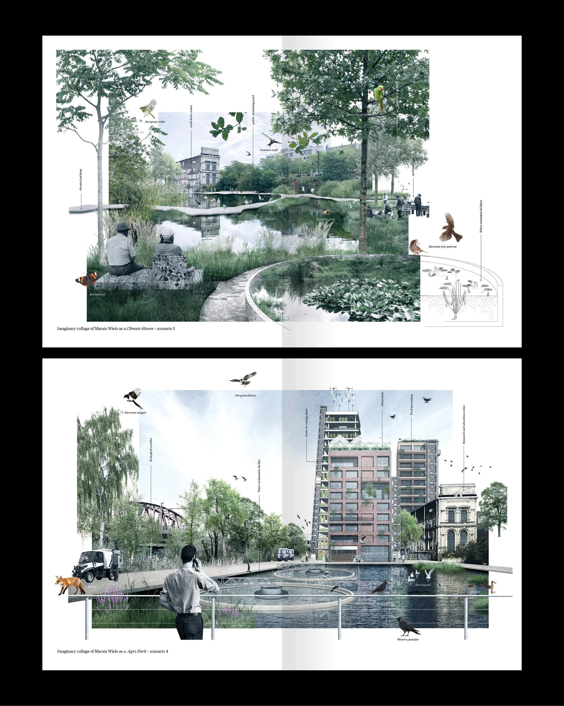 Instagram COHABITAT6.jpg