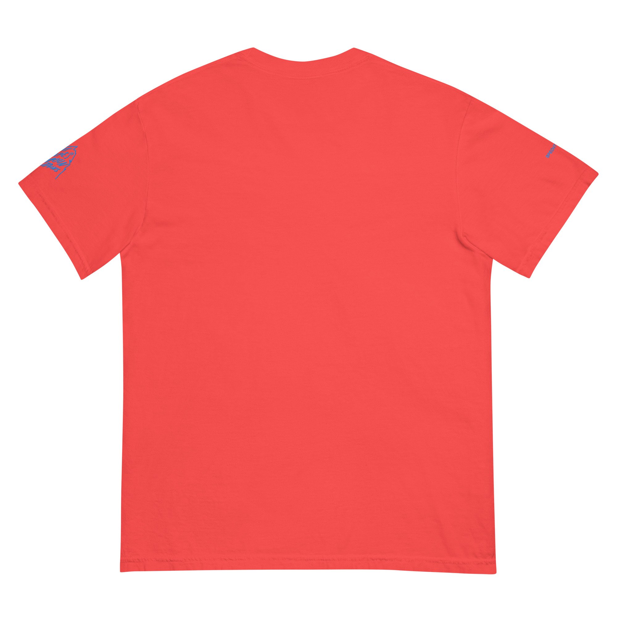 unisex-garment-dyed-heavyweight-t-shirt-paprika-back-69d67ecdcb723.jpg