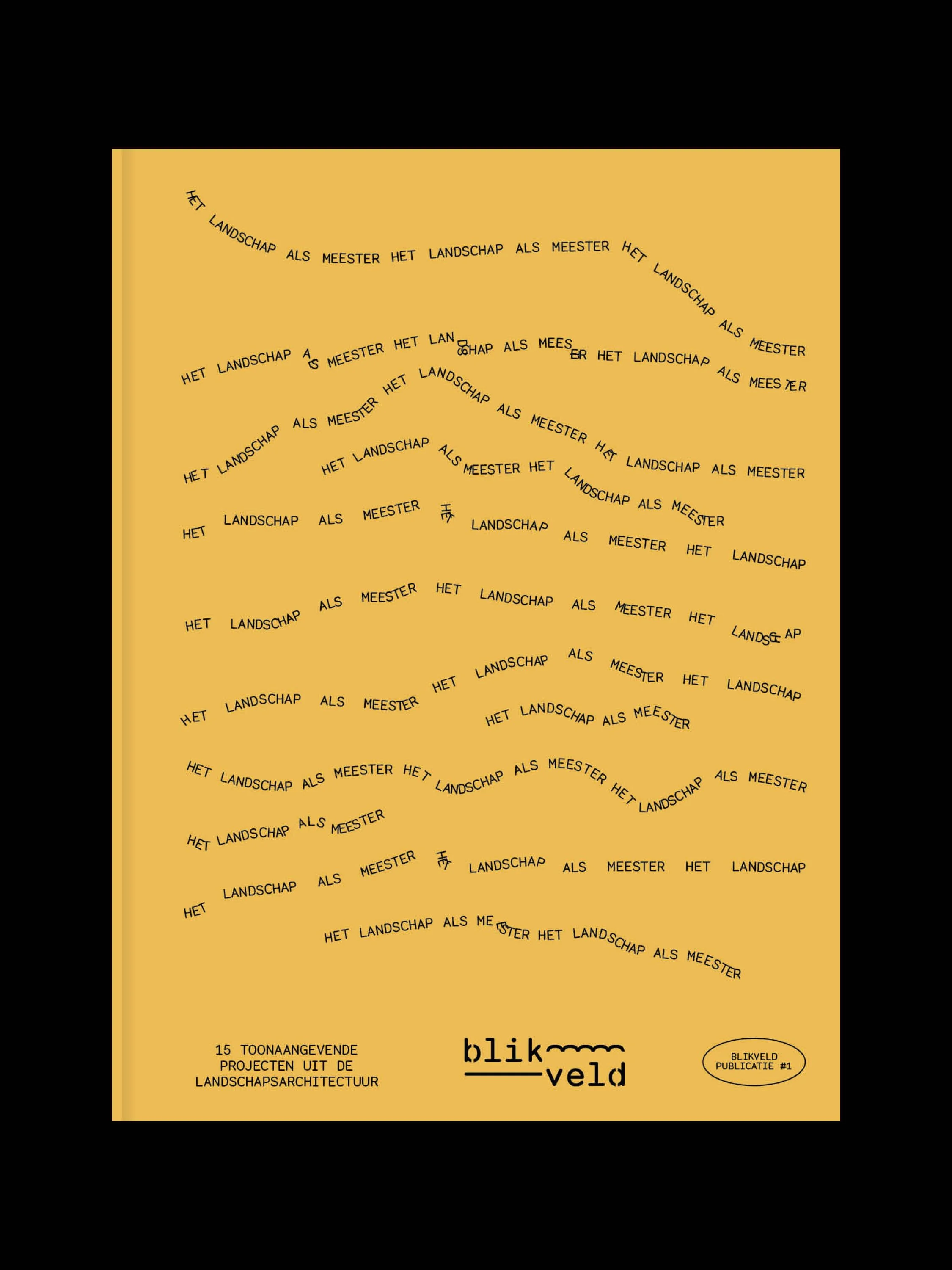 BLIKVELD 3.jpg